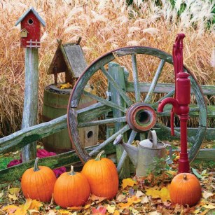 527811_379128178830333_591703830_n