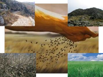 bd1bf35809400801bc977e7945bdcaba